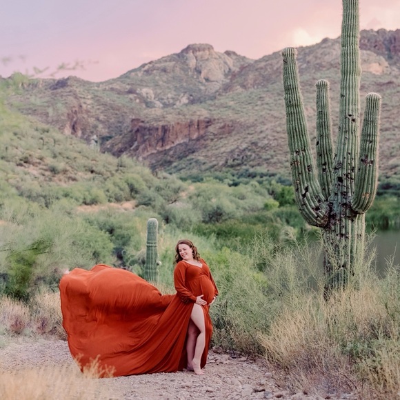 Rust Maternity Photo Dress - Picture 2 of 3